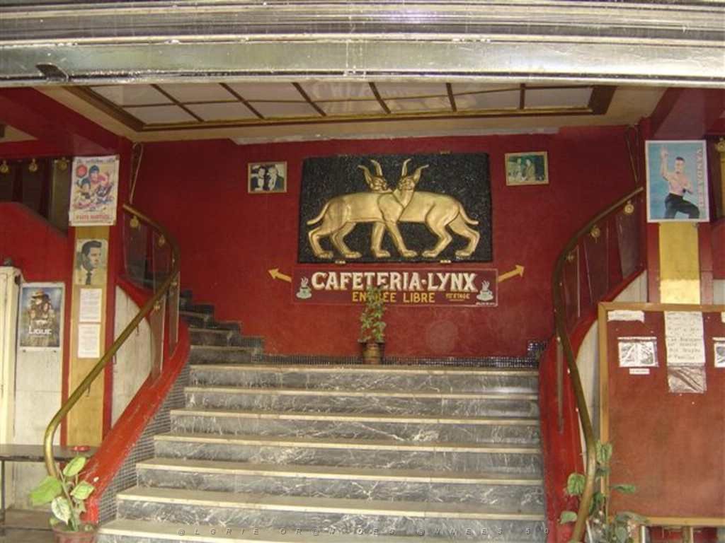 ORAN AOUT 2007 cinema le Lynx 1.JPG